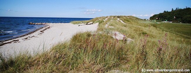 Bottsand