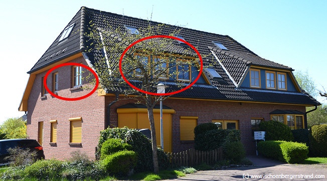 Holunderbusch 21