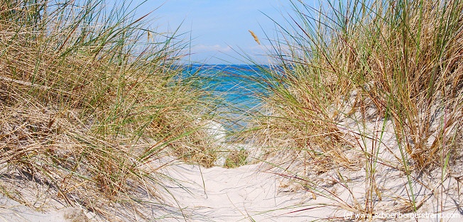 Heidkate am Strand