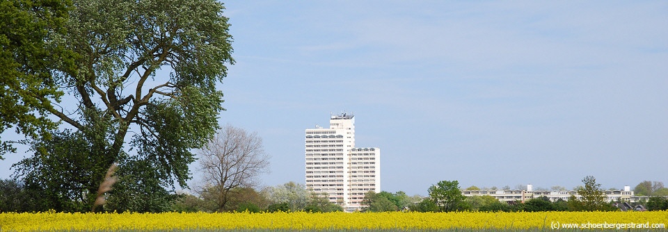 Schönberg Holm