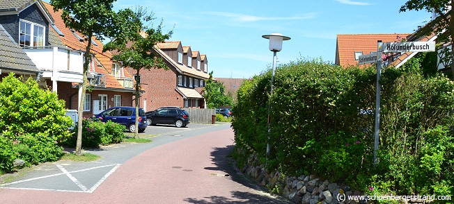 Holunderbusch