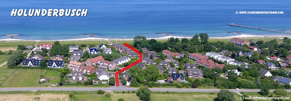 Holunderbusch Schönberger Strand