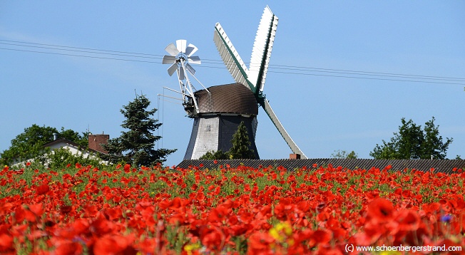 Krokau Windmühle