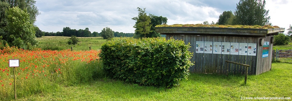 Pavillon Probsteier Naturverein