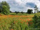 Pavillon Probsteier Naturverein