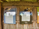 Pavillon Probsteier Naturverein