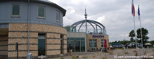 Strandkrabbe Hohenfelde
