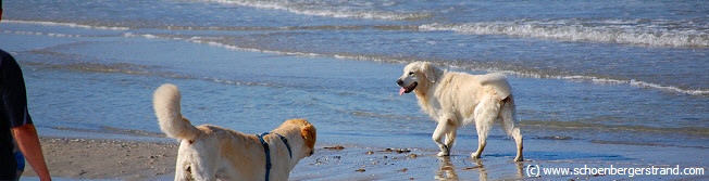 Urlaub mit Hund am Schönberger Strand