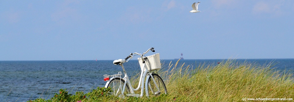 Urlaubsangebote Ferienwohnungen Schönberger Strand