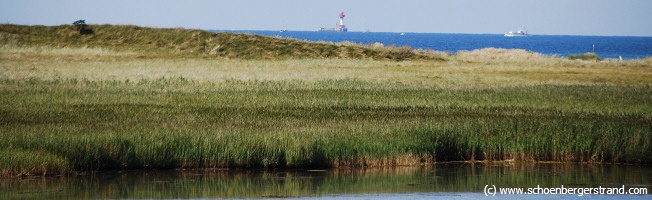 Vogelschutzgebiet Bottsand