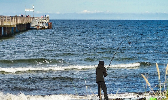 Angler an der Seebrücke
