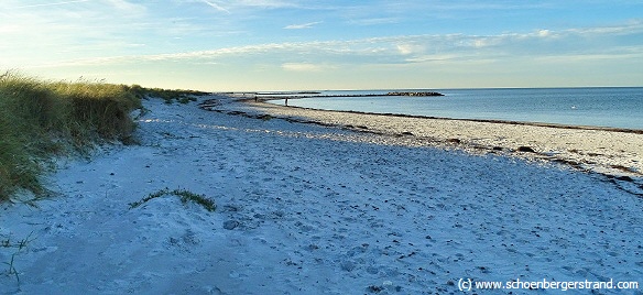 Hundestrand Brasilien