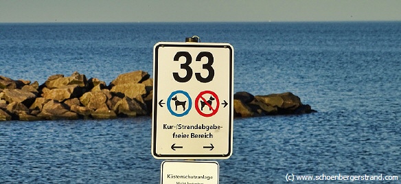 Buhne 33
