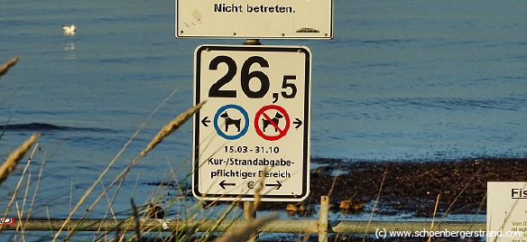 Buhne 26