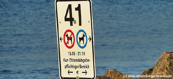 Buhne 41