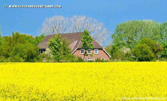 Jugendherberge Schönberg Aussenansicht