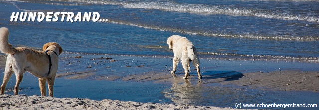 Schönbergs Hundestrände