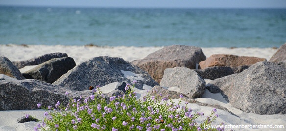 Stakendorfer Strand