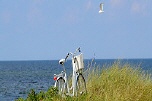 Urlaubs Info