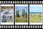 Videos vom Schönberger Strand