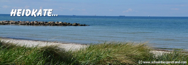 Webcam Heidkate - Wisch