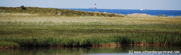 Vogelschutzgebiet Bottsand